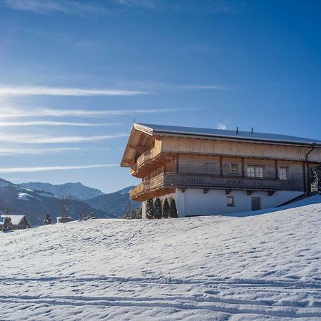 Chalet Apartment Obermanzl Hopfgarten im Brixental Bagian luar foto