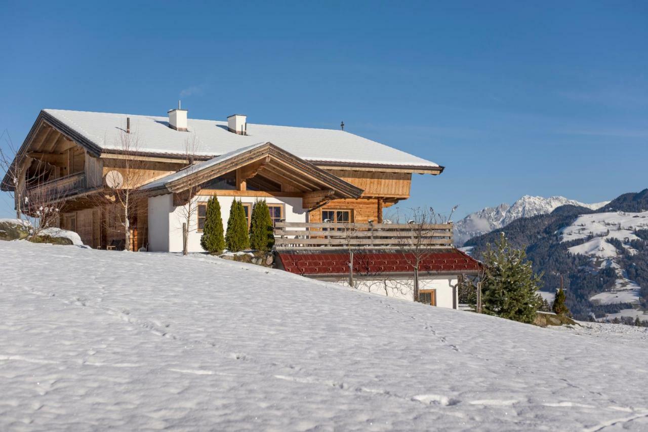 Chalet Apartment Obermanzl Hopfgarten im Brixental Bagian luar foto