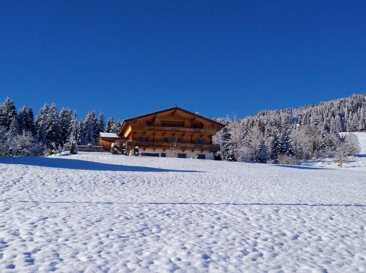 Chalet Apartment Obermanzl Hopfgarten im Brixental Bagian luar foto